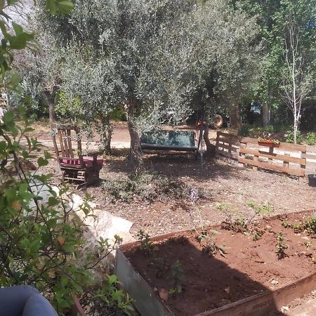דירות כפר שמאי יקב דרור- יחידה נפרדת מראה חיצוני תמונה